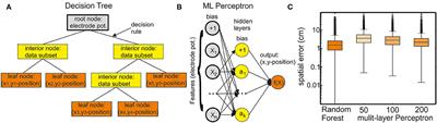 The Use of Supervised Learning Models in Studying Agonistic Behavior and Communication in Weakly Electric Fish